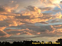 IMG_1061