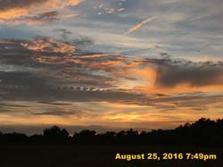 IMG_1062