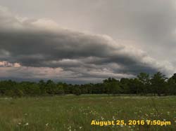 IMG_1064