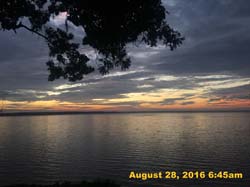 IMG_1184