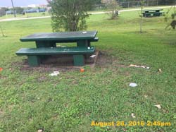 IMG_1221