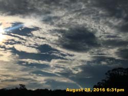 IMG_1276