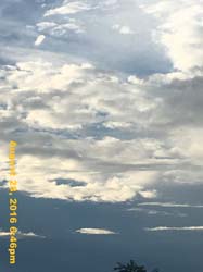 IMG_1280