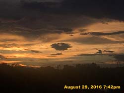 IMG_1355