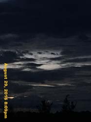 IMG_1366