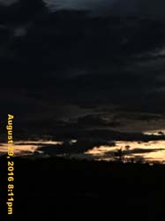 IMG_1369