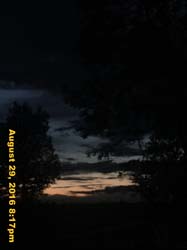 IMG_1374