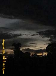 IMG_1375