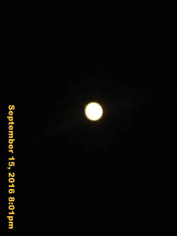 IMG_2341