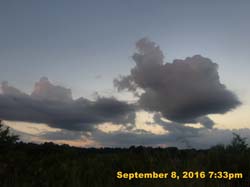 IMG_1802