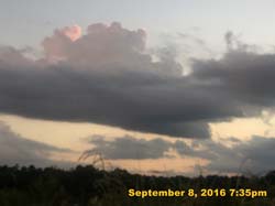 IMG_1804