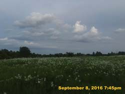 IMG_1807