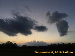 IMG_1809