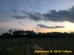IMG_1810