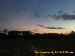 IMG_1814