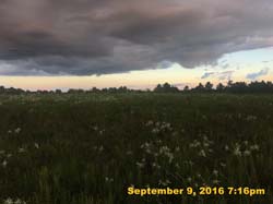 IMG_1854