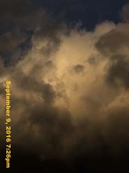 IMG_1871