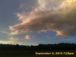 IMG_1874