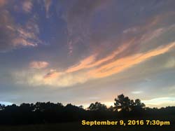IMG_1878