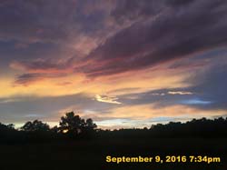 IMG_1883