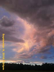 IMG_1884