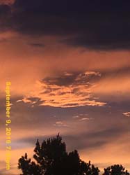 IMG_1890