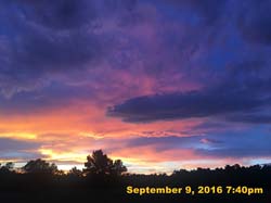 IMG_1893