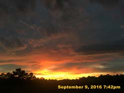 IMG_1896
