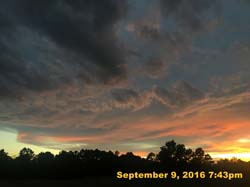 IMG_1898