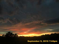 IMG_1899