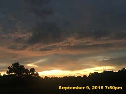 IMG_1906