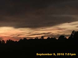 IMG_1908