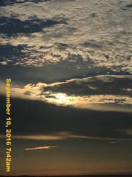 IMG_1921
