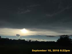 IMG_1982