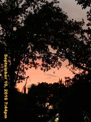 IMG_2014