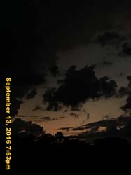 IMG_2235