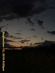 IMG_2240