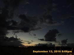 IMG_2241