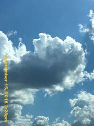 IMG_2322