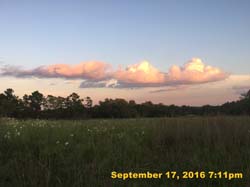 IMG_2422