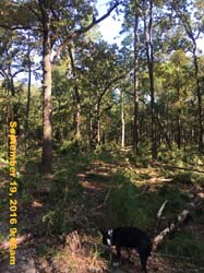 IMG_2483