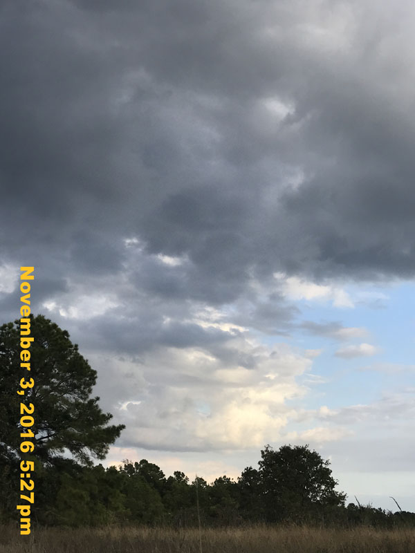 IMG_1162