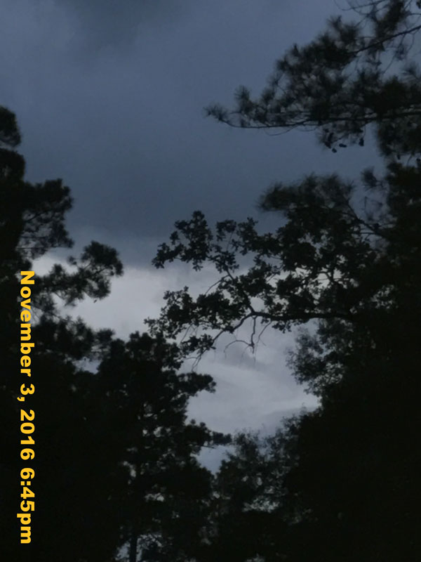 IMG_1180