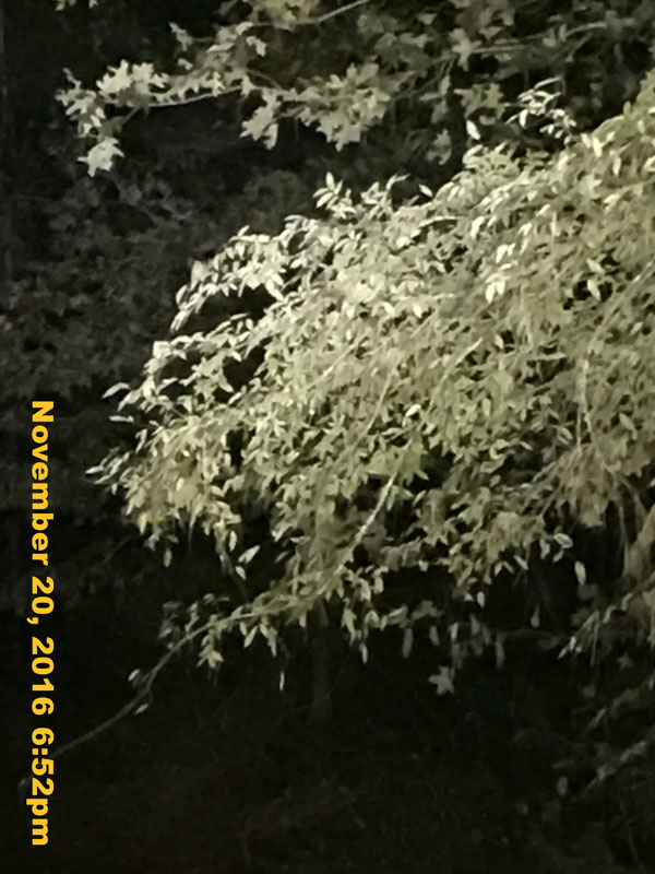 IMG_1671