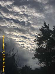 IMG_1291