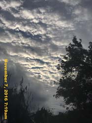 IMG_1292