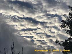 IMG_1293