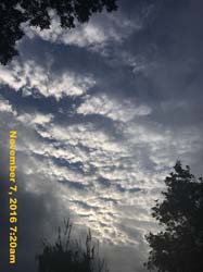 IMG_1294