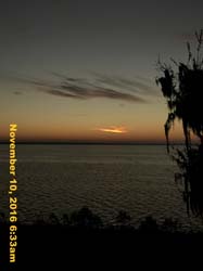 IMG_1354