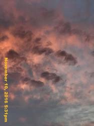 IMG_1379